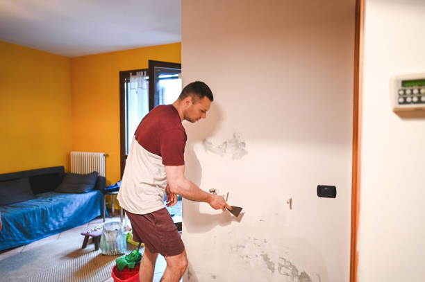 Best Crawl Space Mold Remediation in Breese, IL